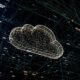 Ameaças de Malware em Nuvens Públicas